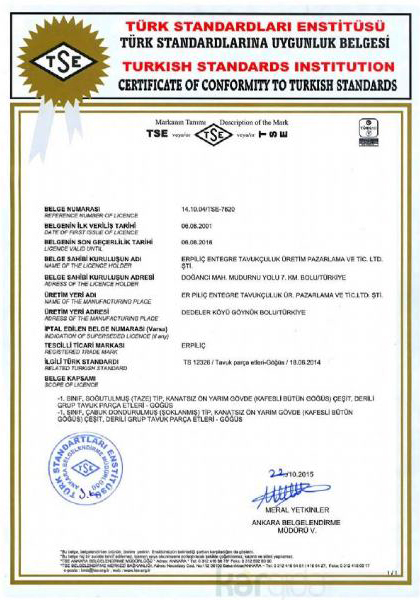 TSE Certificate 2