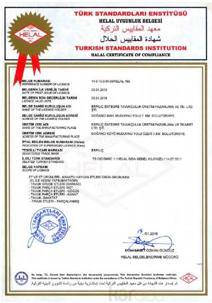 TSE Certificate 4